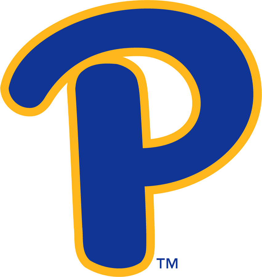 Pittsburgh Panthers 2019-Pres Secondary Logo v3 diy iron on heat transfer